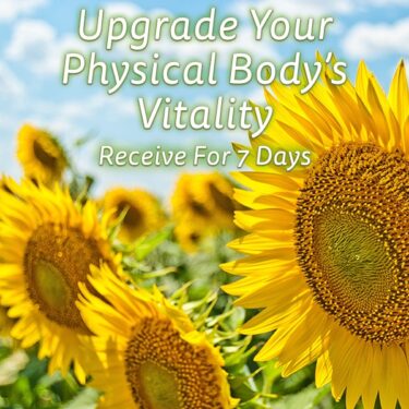 Upgrade Your Physical Body’s Vitality-600px Upgrade Your Physical Body’s Vitality